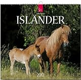 Isländer 2012 by
