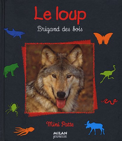 couverture de : Le loup, brigand des bois