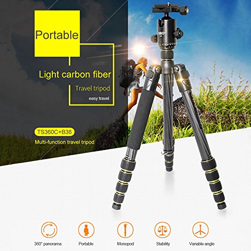 Andoer OBO Fibra de Carbon Trípode Unipod Monópode de Cámara con Cabeza de Bola Ballhead para Canon 760D 7D2 5D2 70D 5DS 5DSR Nikon D750 D610 D7200 D5500 D810 para Sony A7 A7S A7R A7RII