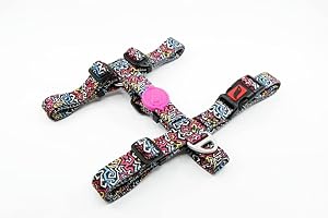 ASTORPET | Tailpetz Arnés Tipo H para Perro. Arnés Ajustable de Tacto Suave. Cierre de Seguridad y Presilla Cosida. Graffiti - Talla S