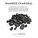 pureSOL Konjac Sponge - Activated Charcoal - Body Sponge - Gentle Exfoliating Sponge, Deep Cleansing, Improved Skin Texture - Konjac Body Or Facial Cleansing Sponge - Natural Beauty Products