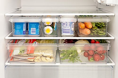 Rotho Loft Kühlschrank Organizer 5 L / Robuster Aufbewahrungsbehälter für Salat, Gemüse, Fleisch / Transparent / 1x (31 x 22 x 9 cm) - 7