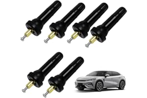 Funworth 6 pièces Valve Capteur TPMS/RDKS Pour Pneus, Universel Ustensile Tpms, Capteur De Des Pneus Tiges de Valve de Pneu Système de Surveillance de la Pression des Pneus Inserts de Valve de Tige