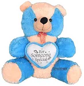 TEDSTREE 2 Feet/60Cm Blue Cute Stuffed Someone Special Teddy with Little Heart Lovable Huggable Soft Toy Perfect Present for Kids, Birthday, Babies & Girlfriends (Blue -2 Feet/60cm)