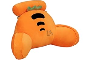 ChicSoleil Reading Pillow, Chill Wave Kissen, Plüsch rückenkissen mit armlehnen, mit Abnehmbarer Nackenrolle & höherem Stützarm - Rückenstütze Beim Lesen oder für Videospiele（Karotte 40 * 60cm）