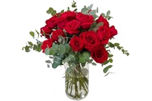 FLORES SOLIDARIAS TRABAJO & VIVIENDA FLORES SOLIDARIAS - Ramos de Flores Naturales Rosas Rojas Eucalipto - Ramo Fresco de Calidad para Regalo, San Valentín, Día de la Madre, Bodas, Aniversarios, Cumpleaños y Decoración del Hogar