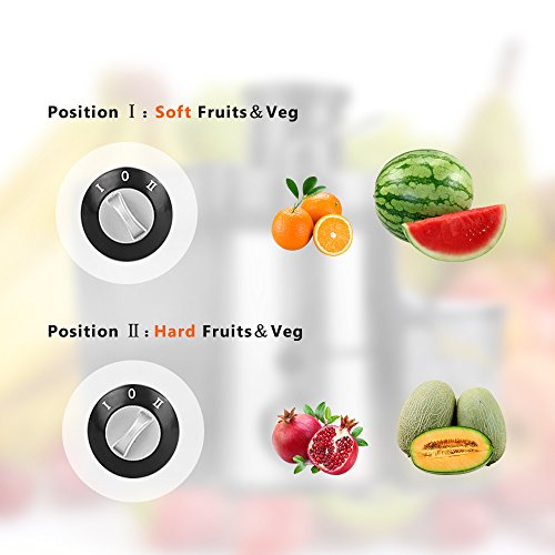 Homdox Entsafter Edelstahl Juicer Extractor Elektrisch Automatisch, 2 Geschwindigkeiten, für Obst und Gemüse mit Saftbehälter, 350 Watt - 5