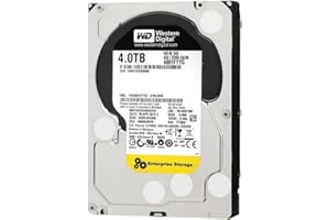 Western Digital WD4001FYYG - Disco Duro Interno de 4 TB (7200 RPM, 3.5" SAS)