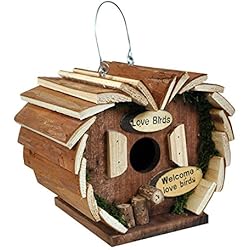 Kingfisher Hôtel à Oiseaux en Bois