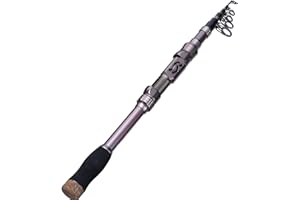 Sougayilang Canna da pesca telescopica portatile, in fibra di carbonio da 24 tonnellate, mulinello lavorato a CNC, comodo manico in EVA, canna da pesca da viaggio per pesca alla trota spigola,