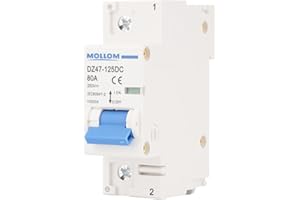 MOLLOM DC 1P Interruttore automatico miniaturo,250V 80A,nterruttore termomagnetico MCB personalizzato con visualizzazione della scena,capacità di interruzione 6KA per sistema PV solare