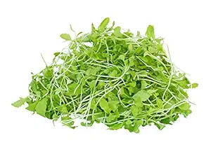 Creative Farmer Vegetable Seeds Fenugreek (Metha) Microgreen Seeds - Methi Fenu Greek Seeds For Gardening Garden Seeds Home Garden Seeds