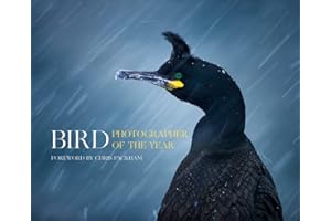 Bird Photographer of the Year