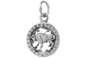 NKlaus 925 Sterlingsilber Kettenanhänger Horoskop Sternzeichen Zodiak