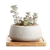 *** Pflanzen sind NICHT enthaltend *** Vor Kauf überprüfen Sie bitte die Dimension.