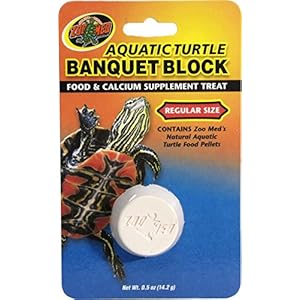 Zoomed Aquatic Turtle Banquet Block Regular