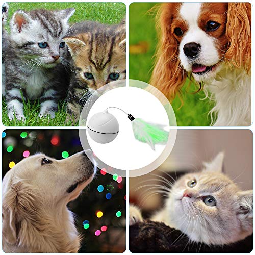 Wanfei-Interactive-Cat-Toys