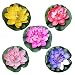 Produktbild VORCOOL 5 Stücke Künstliche Schwimmende Seerose EVA Lotus Blume Teich Dekor 10 cm (Rot/Gelb/Blau/Rosa/Hellrosa)