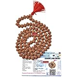 Shri Rudram Lab Certified 10 Mukhi Rudraksha Mala Rosary 108+1 Java Beads (8 mm, Multicolour)