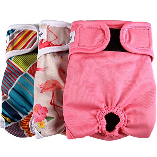 JoyDaog Hundewindeln für Frauen, wiederverwendbar, für kleine Hunde