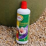 Schola Flüssigdünger mit Guano | 1-Liter-Flasche | für...