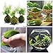 Produktbild Plantree 100 Teile/Beutel: 100 Teile/Beutel Sphagnum Moossamen Bonsai Moos Ball Dekorative Grassamen He8Y 01