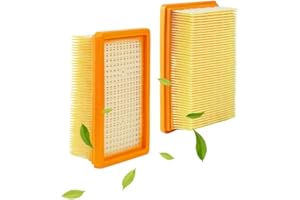 STARWARD 2 Pièces Filtre Aspirateur pour Kärcher WD6 MV4 MV5 MV6 WD4 WD5, Filtre Accessoires Aspirateur avec Pinceau, Accessoires Remplacement pour Aspirateur Karcher, Filtre pour Kärcher 2.863-005.0