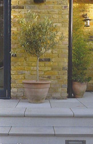 Step Kits and Pool Coping Stones 50mm (Harvest)