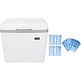 Jiawu 13L Insulated Portable Cooler, Lightweight Hard Cooler with Temperature Display, Ice Chest Box, Insulated Cooler Box for Car, Travel, Fishing, Camping, BBQ, Beach, Picnic, Drink