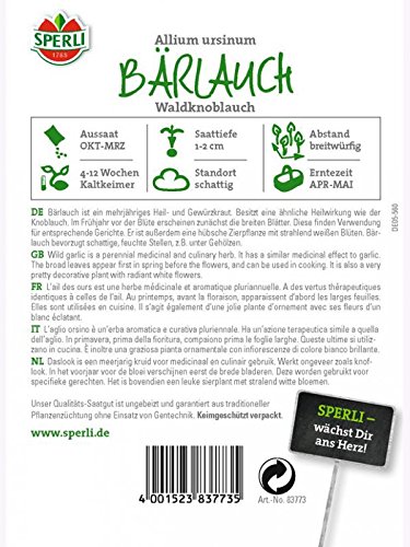 Bärlauch Wald Knoblauch - 2