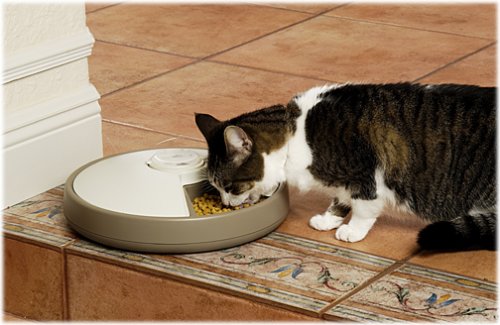 Koolatron-PD06-Pet-Dish-Six-Day-Automatic-Pet-Feeder