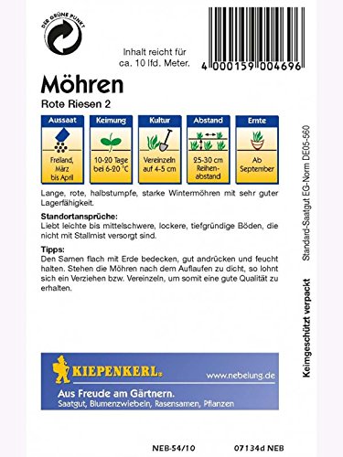 Möhren Rote Riesen2 - 2