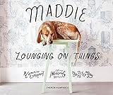 Read Online Maddie Lounging on Things: A Complex Experiment Involving Canine Sleep Patterns PDF