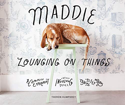 Maddie Lounging on Things: A Complex Experiment Involving Canine Sleep Patterns