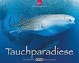 Tauchparadiese: Original Stürtz-Kalender 2020 - Großformat-Kalender 60 x 48 cm by