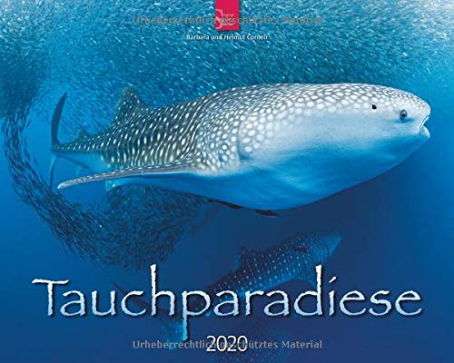 Tauchparadiese: Original Stürtz-Kalender 2020 - Großformat-Kalender 60 x 48 cm