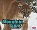 Produktbild Mountain Lions (Pebble Plus Wildcats)
