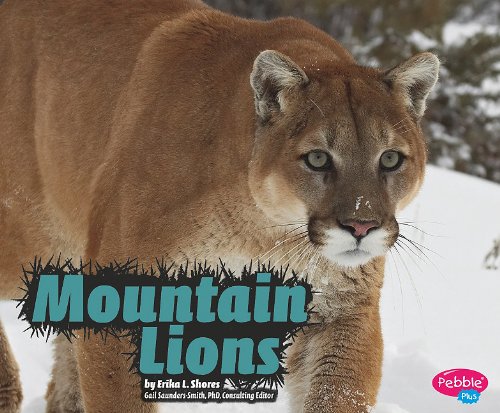 Preisvergleich Produktbild Mountain Lions (Pebble Plus Wildcats)