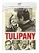 Tulipany [DVD] [Region 2] (English subtitles) by Jan Nowicki