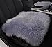 Produktbild haocoo 45,7 cm Luxuriöse Pelz lange Wolle Autositzbezüge Sessel Pad (One Cover)
