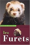 Les furets