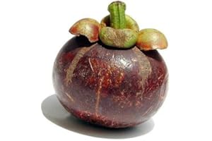Mangosteen X5 - Sourced by My Exotic Fruit - Fresh from Asia