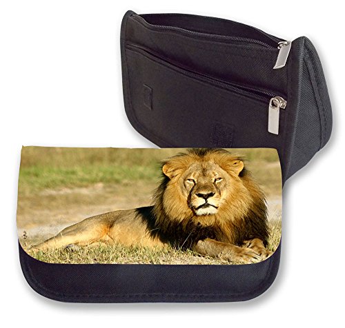 Preisvergleich Produktbild Löwe Federmäppchen (Stolz)