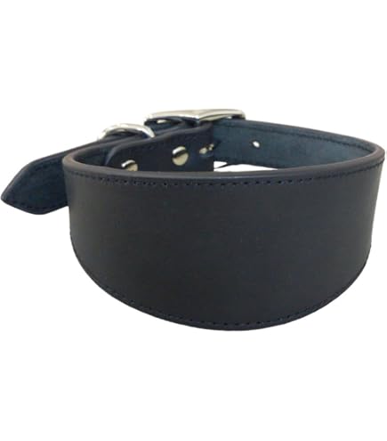 Windhund - Whippet Halsband, Halsumfang 21-25cm/45mm, Leder Weiss-Schwarz  : Amazon.de: Haustier