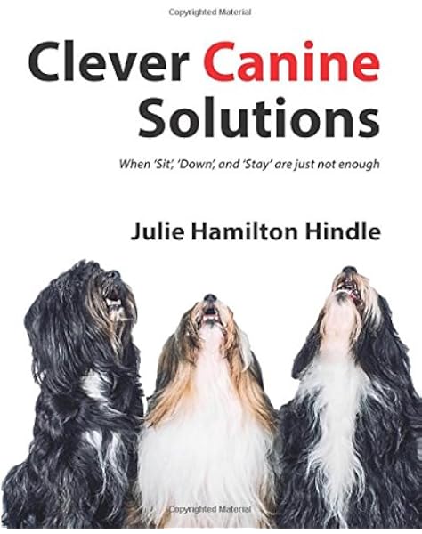 canine solutions training services