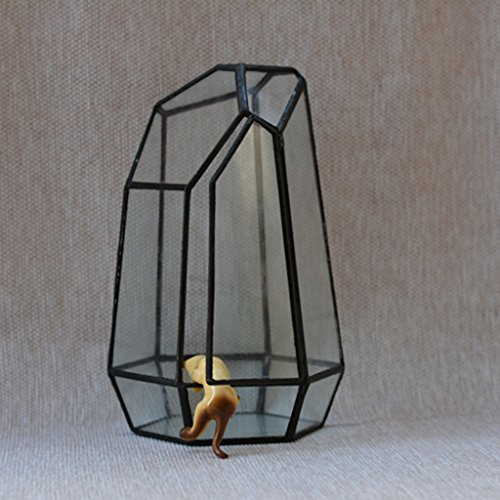 Irreguläre Mini Glasterrarium Geometrisches Glas Sukkulente Pflanzgefäß Haus Dekoration – 12 x 12 x 19cm - 7