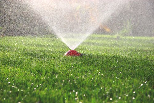 SCHWAB Regenkäfer® - 2