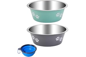 JIEYAN Hundenapf 2 Stück, Futternapf aus Edelstahl mit Rutschfestem Silikonboden, Wassernapf und Fressnapf für Kleine, Mittelgroße und Große Hunde und Katzen（860ml）