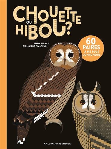<a href="/node/20931">Chouette ou hibou ?</a>