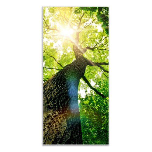 banjado - Magnettafel weiß Pinnwand 37x78cm Memoboard Whiteboard mit Motiv Baumkrone